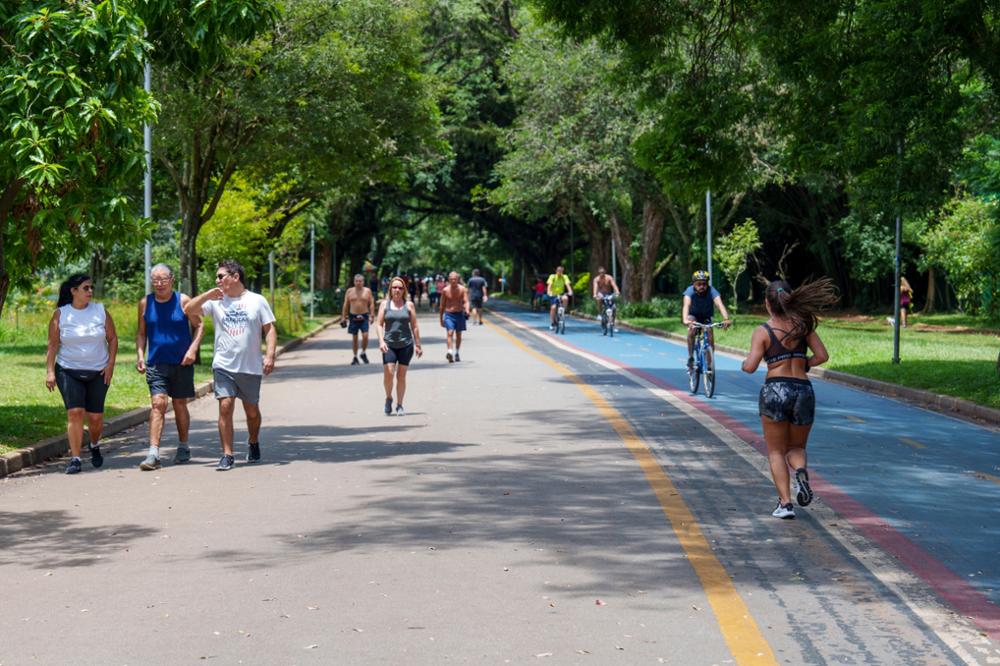 Que voir et que faire à São Paulo ?