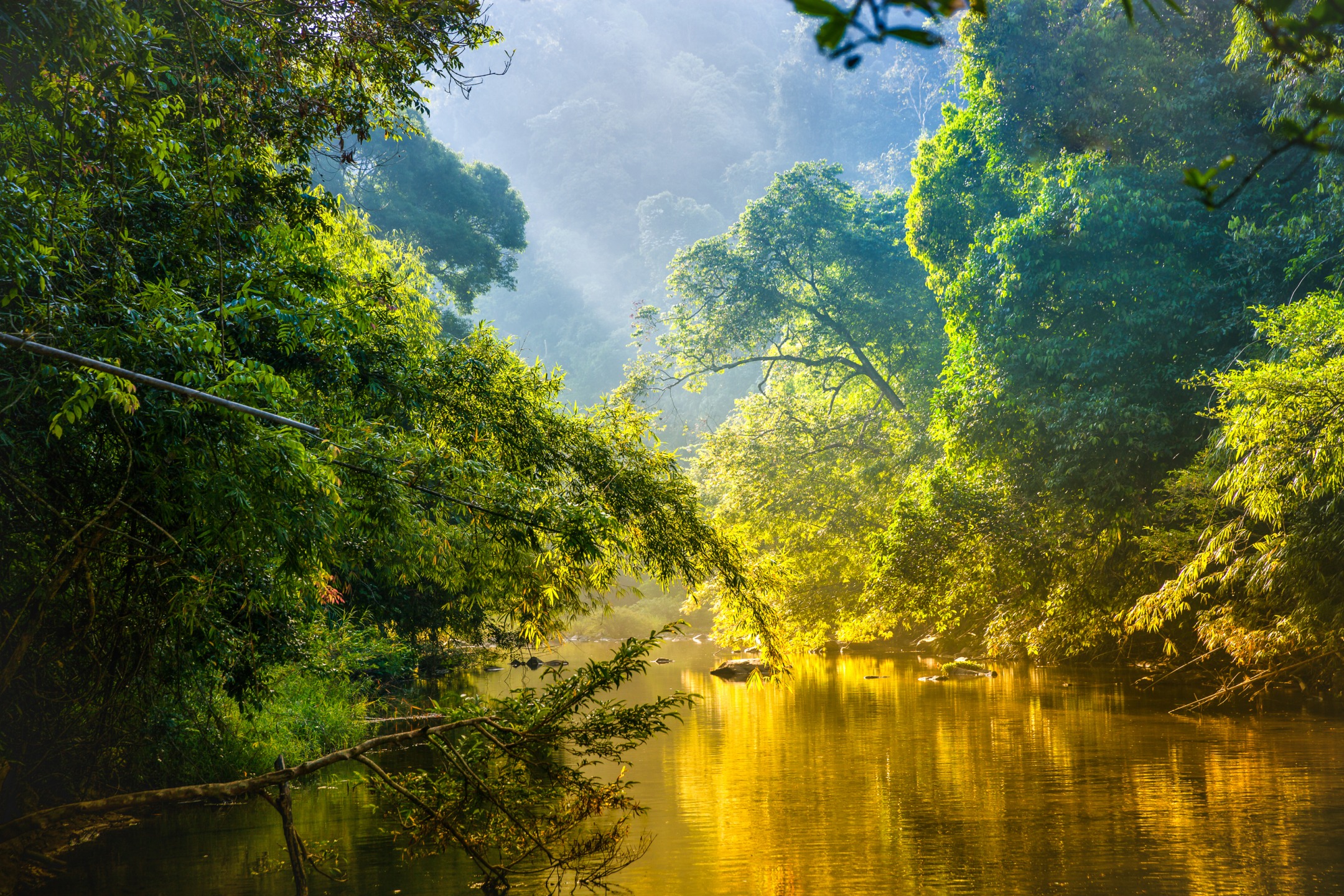 voyage en amazonie