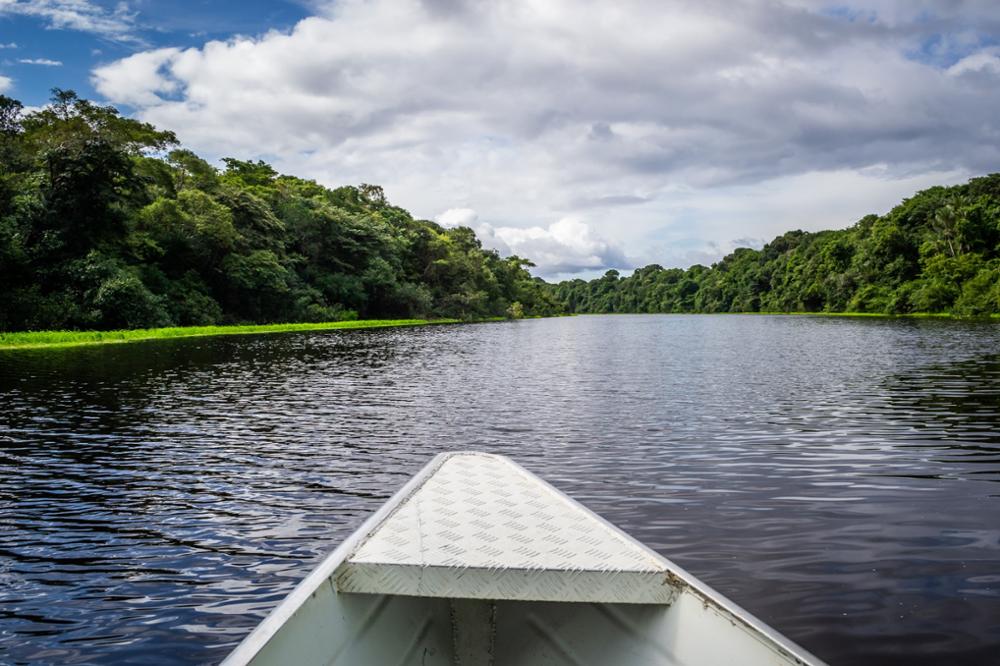 6 activités à faire en Amazonie brésilienne