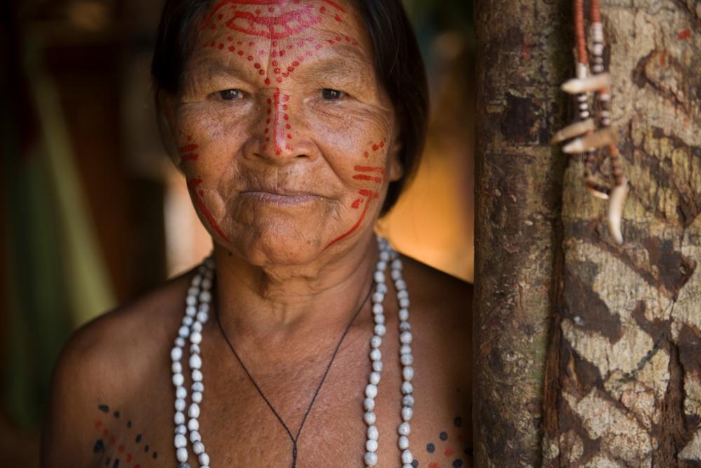 6 activités à faire en Amazonie brésilienne