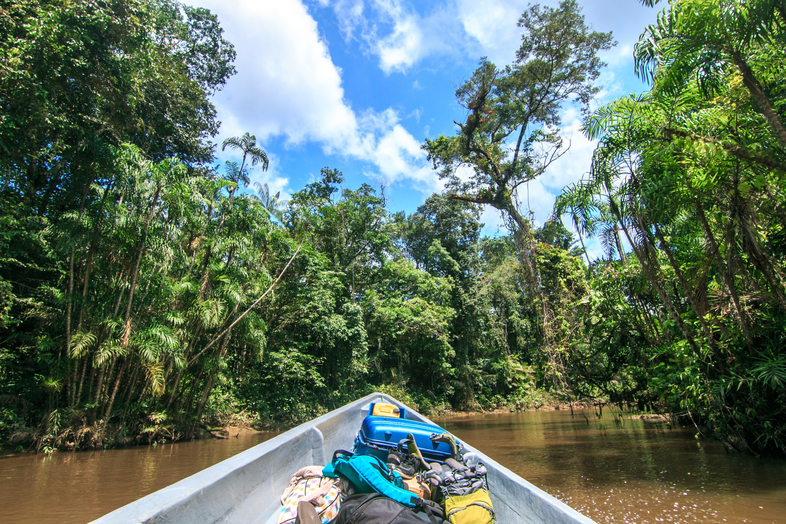 blog voyage en amazonie